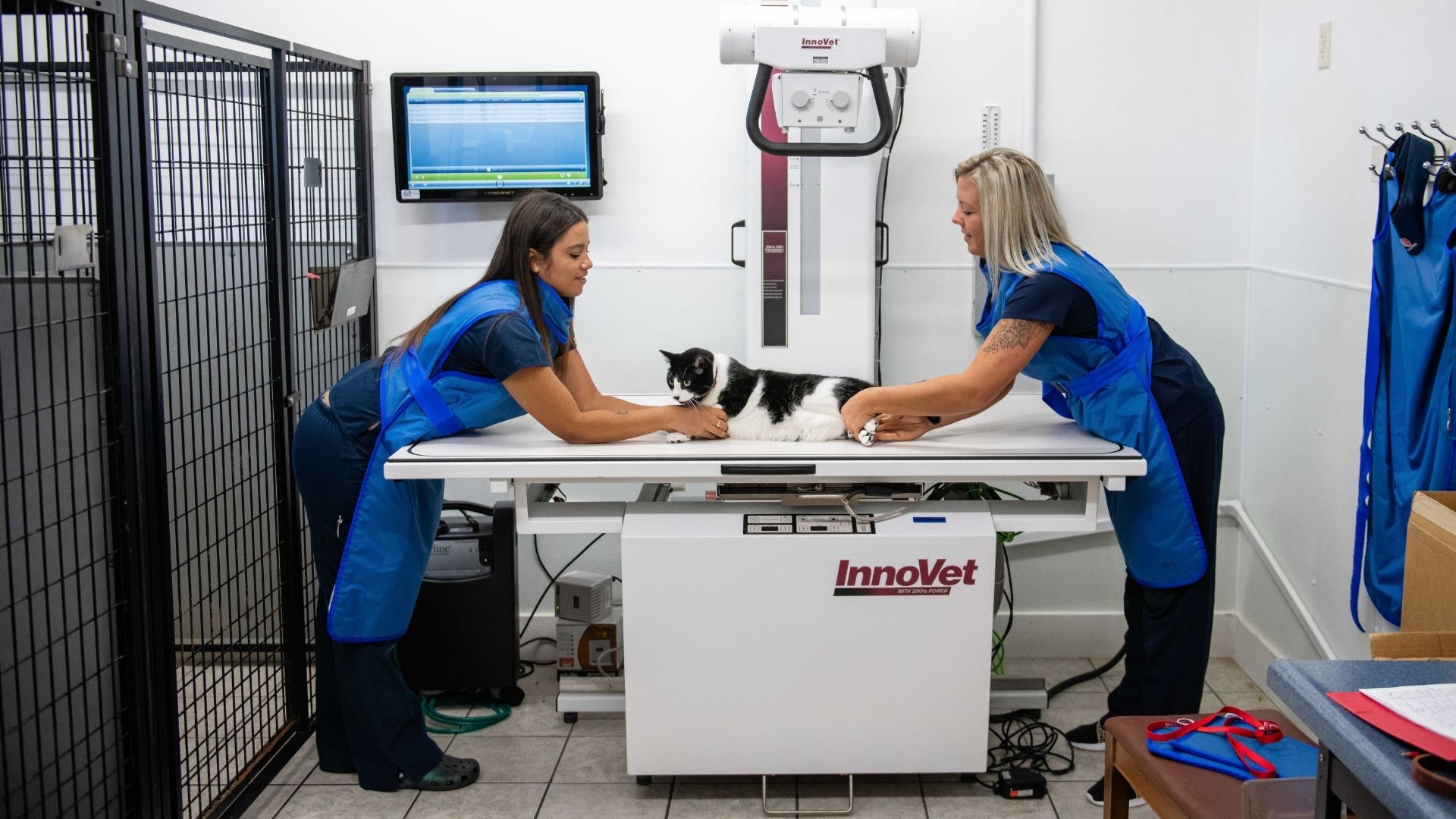 Eyota Veterinary Clinic – Eyota Veterinary Clinic radiograph with pet cat and two team members