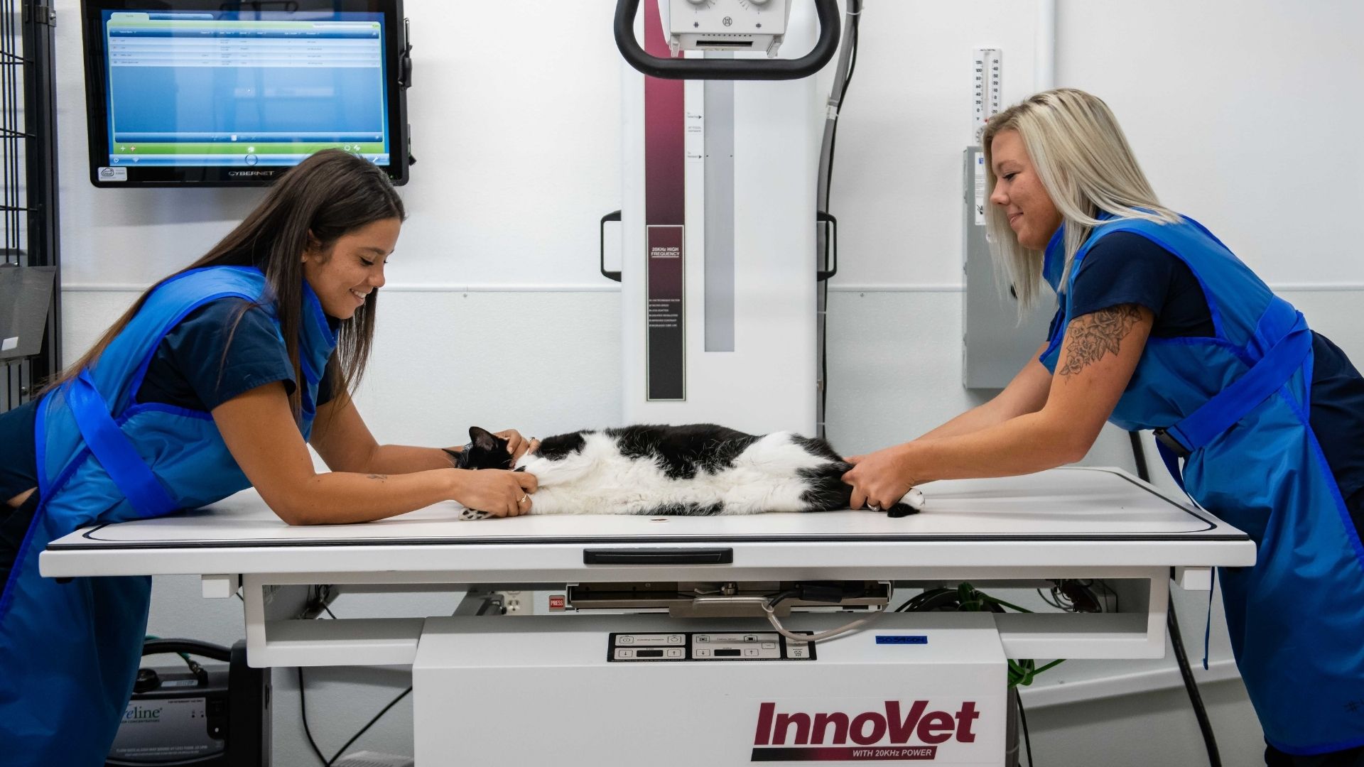 Eyota Veterinary Clinic – Eyota Veterinary Clinic radiograph with pet cat