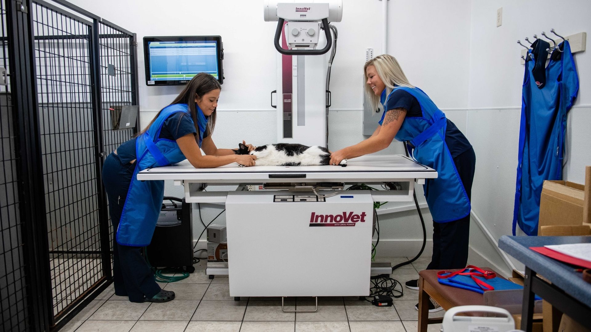 Eyota Veterinary Clinic – Eyota Veterinary Clinic radiograph with two team members holding pet cat