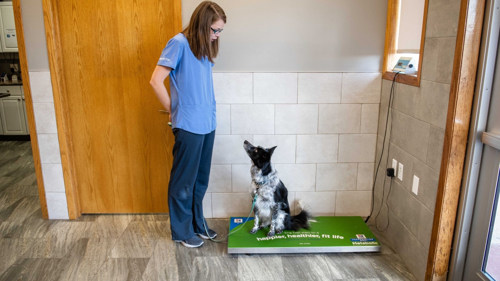 Eyota Veterinary Clinic – Pet on a weight scale