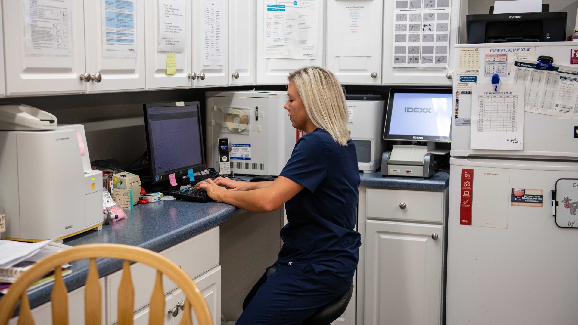 Eyota Veterinary Clinic – Team member at desk reviewing pet health results