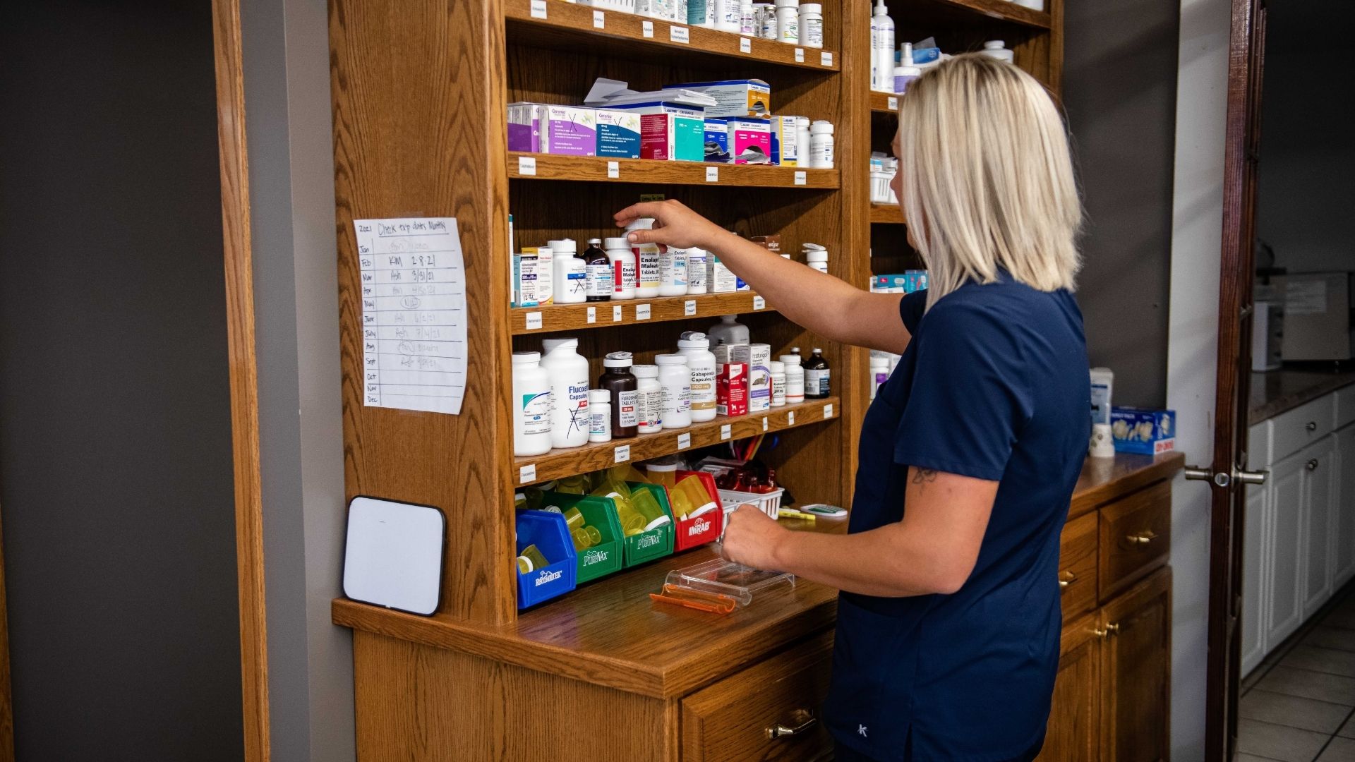 Eyota Veterinary Clinic – Team member looking at pet medicine cabinet