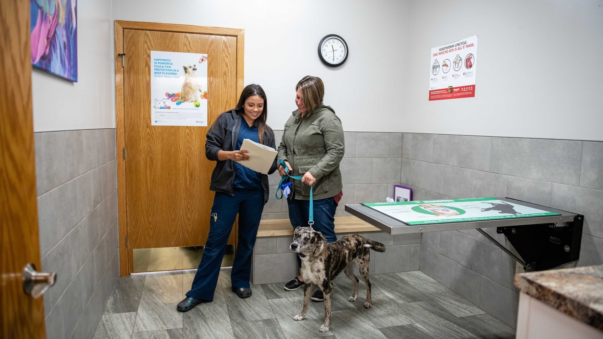Eyota Veterinary Clinic – Team member reviewing pet dog health results