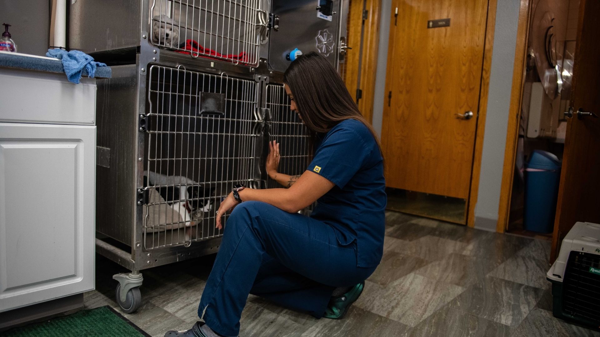Eyota Veterinary Clinic – Team member with pet cat