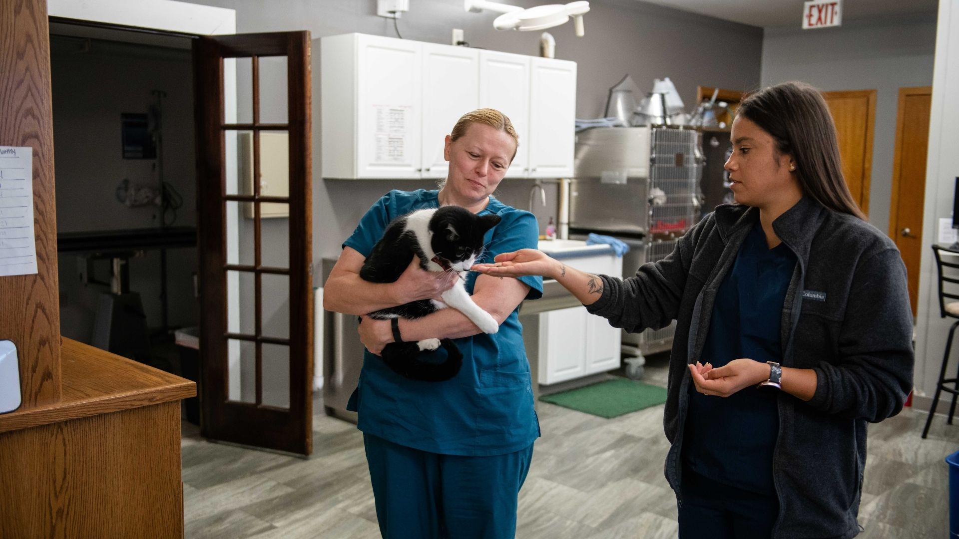 Eyota Veterinary Clinic – Team members checking up on pet cat health